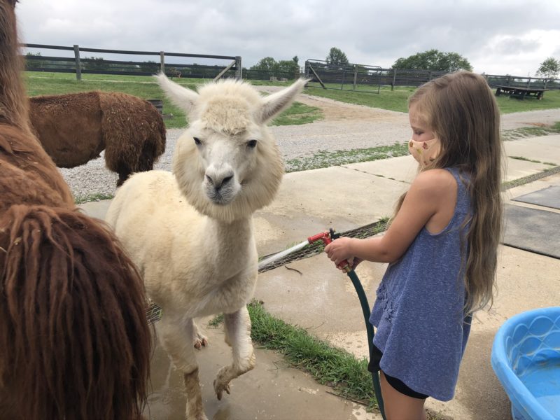 farm tour near Louisville