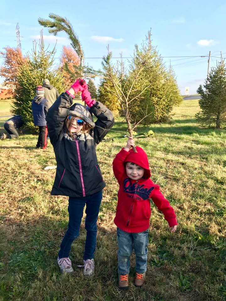 Christmas Tree Farms Cut your own Christmas tree near Lousiville