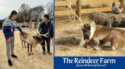 The Reindeer Farm in Kentucky