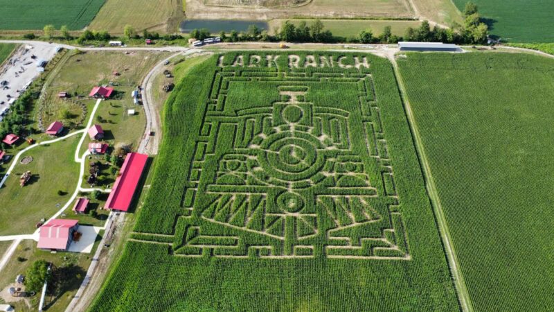 Lark Ranch Lanesville